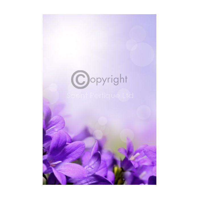 parma-violet