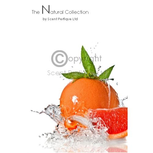 Orange Grapefruit Mojito