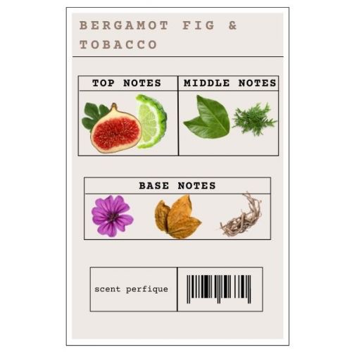 Bergamot, Fig & Tobacco Fragrance Oil