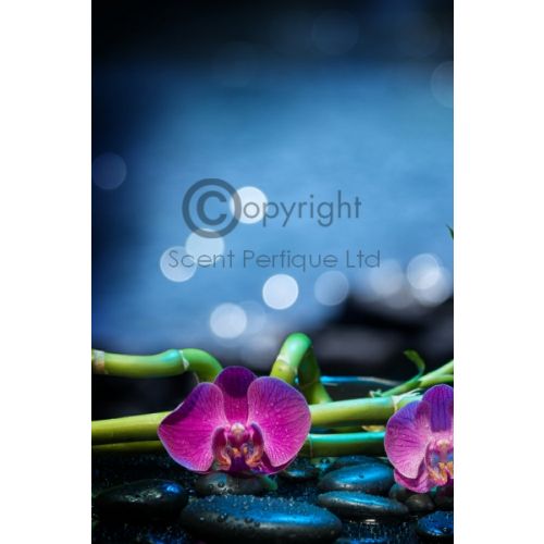 black orchid raspberry & Lemon
