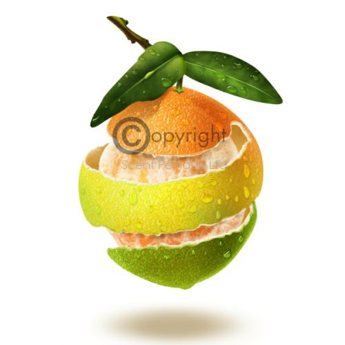 grapefruit-orange-peel