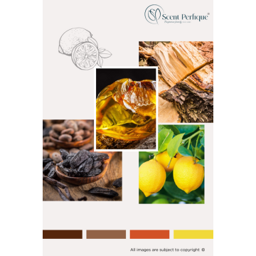 Aromatic Amber CONC Fragrance Oil