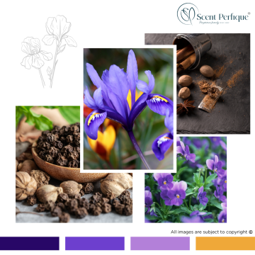 Cardamom, Iris & Violet Drift CONC Fragrance Oil