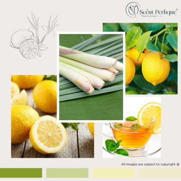 Lemongrass & Green Tea Fragrance Oil