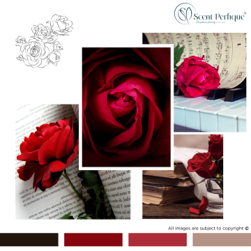 Luxury Red Roses Fragrance Oil