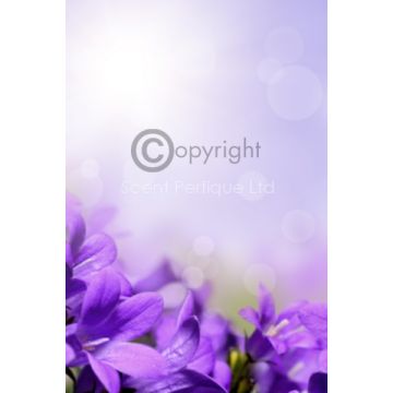 parma-violet