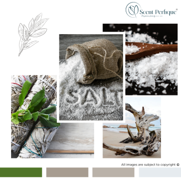 Sea Salt & Wood Sage Fragrance Oil