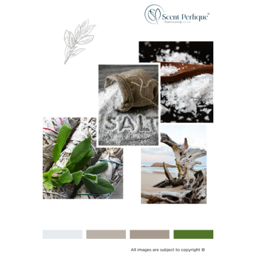 Sea Salt & Wood Sage