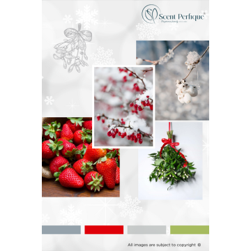 Snowberry & Mistletoe