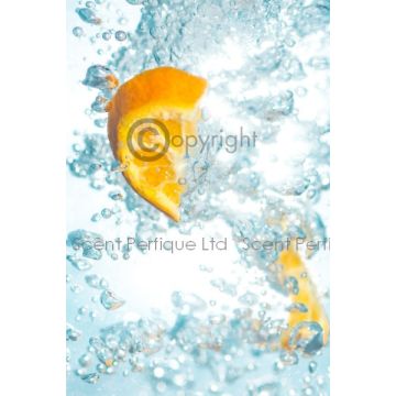 Sparkling Orange CONC Fragrance Oil
